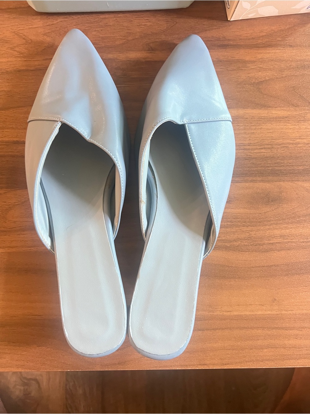 Low Kitten Heel Mules (sz. 12)